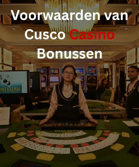 Voorwaarden van Cusco Casin